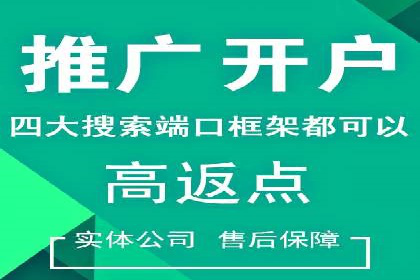 信息流广告代理项目案例分析